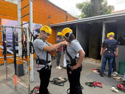 Padronização do Aprendizado e Autonomia Real: